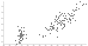 D3 Scatter Plot