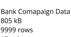 Bank Campaign Data