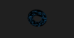 Game of Life on a Torus