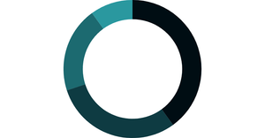 Fork of Pie chart in React & D3 - 1st attempt