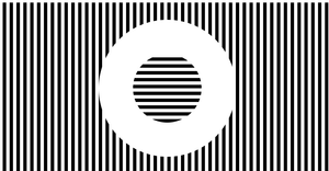 LeWitt Reproduction vertical