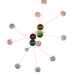 Organization Network Graph
