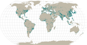 Points on a World Map