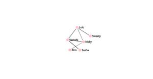 Network Tree