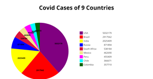 ICE7-Pie Chart 11540905