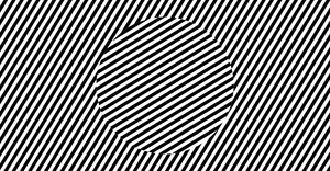 Sol Levitt Animated