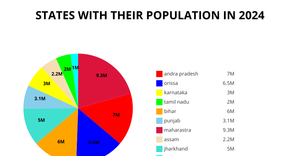 pie_chart_question1
