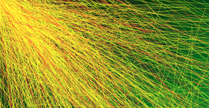 Fork of Concentric circles -linear gradient