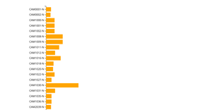 Stylized Bar Chart