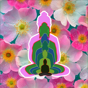 Buddhas of 6