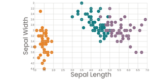Color Scatter Plot