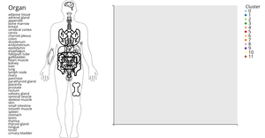 Scatter with Body Selector