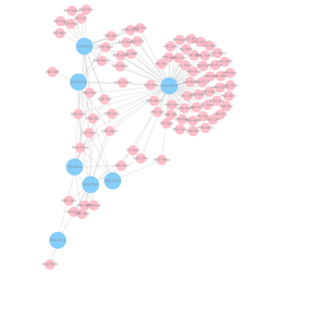 Fork of Organization Graph Diagram