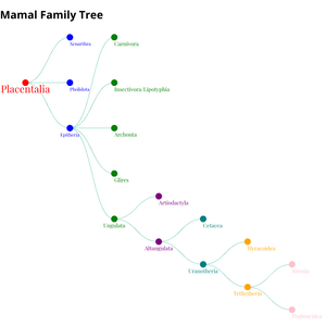 Mamal Family Tree