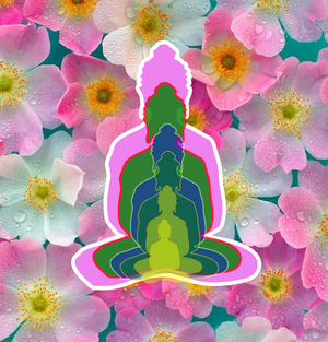 6 Buddhas