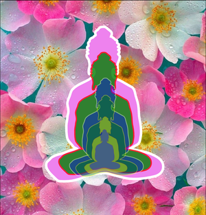 6 buddha