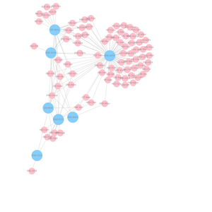 Fork of Organization Graph Diagram