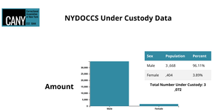 Under Custody