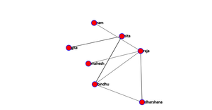 Network Graph