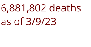 Summarizing Corona Virus Data