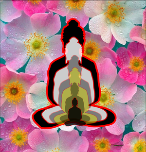 6 buddhas