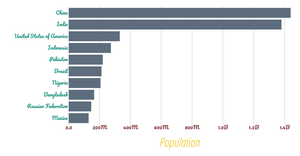 Stylized Bar chart