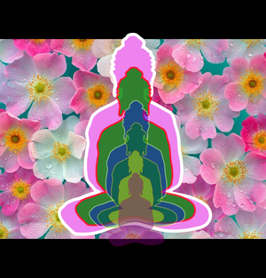 TASK BUDDHA6