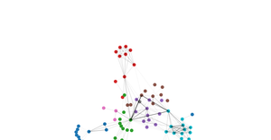 Network