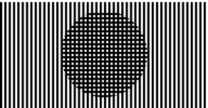 Sol LeWitt Reproduction Vertical