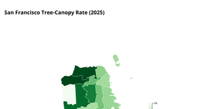 Choropleth map