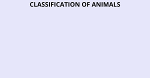 ICE-8 Animal Classification - Nagaraju Obbineni