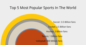 Most Popular Sports Ranked By Total Fans