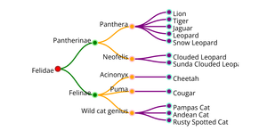 Tree chart for cat species