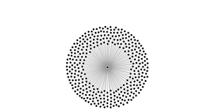 A8- Edge Bundling