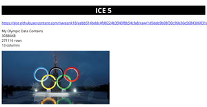 ICE 5