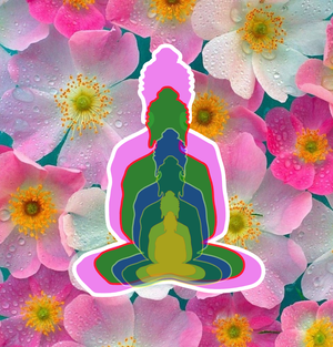 6 Buddhas