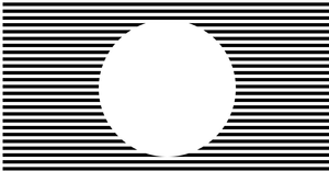 Fork of Fork of HTML Starter