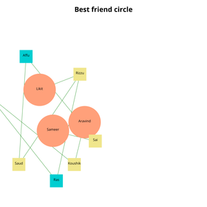 Network Graph