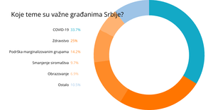 Key themes - pie chart
