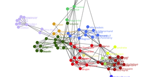 Fork of Node2Vec Force-Directed Graph