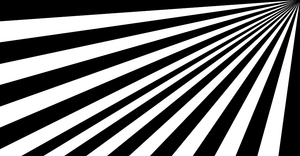 reproduction of somethind