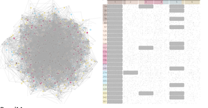 Node-link Diagram and Adjacency Matrix
