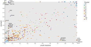 Scatter Plot of ASIF between Tissues