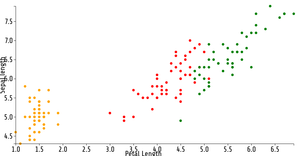 Scatter Plot