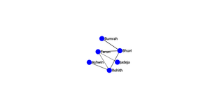 Network Graph