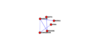 Social Network graphic