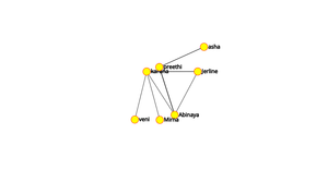 Network Graph
