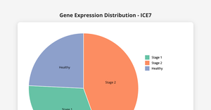 ICE7-PieChart-SarathL