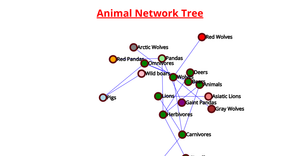 Network Graph