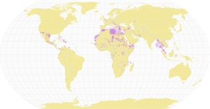 Migrant Map